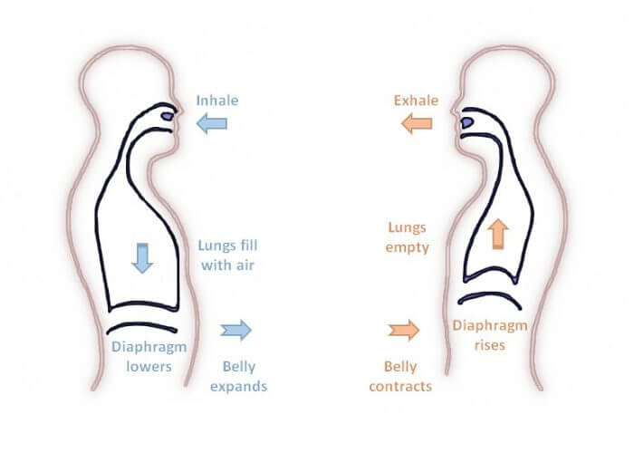 breathing-diagram