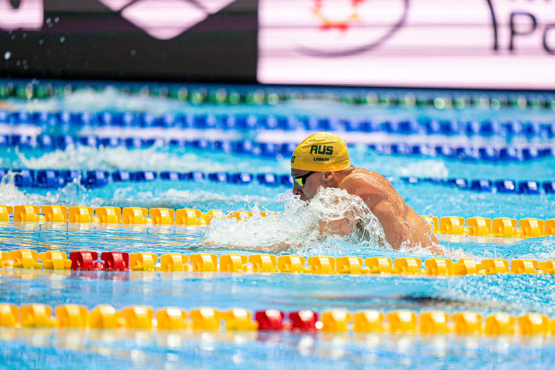 2019 FINA Swimming World Cup Tokyo: Hosszu, Larkin Set IM Meet Records ...