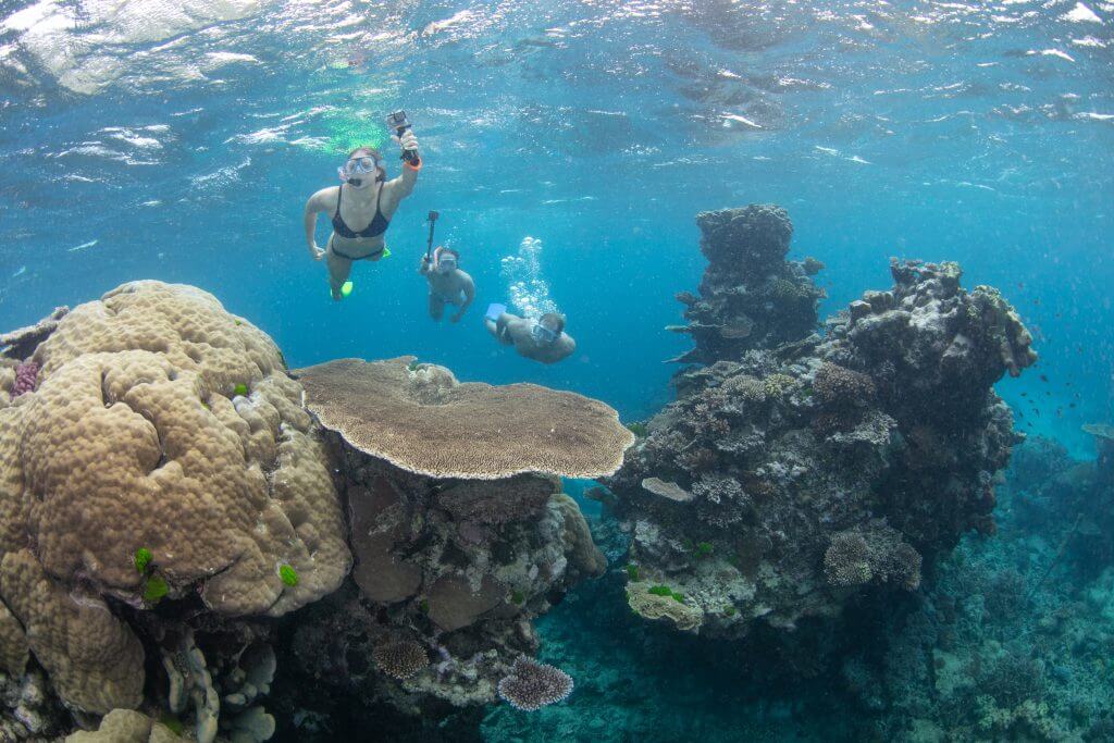 swimming-australia-great-barrier-reef