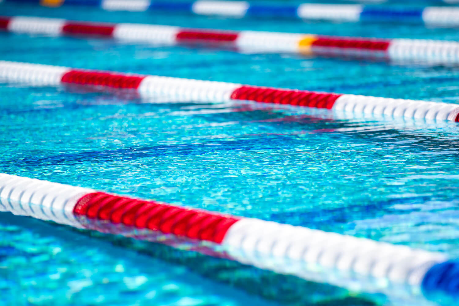 Former Swim Coach Savannah Reis Indicted on Two Counts of Sexual ...