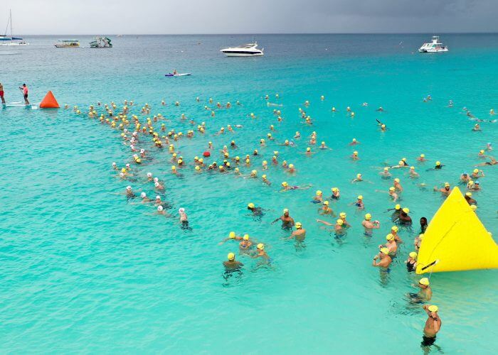 Swimmers in the water at Barbados Open Water Festival