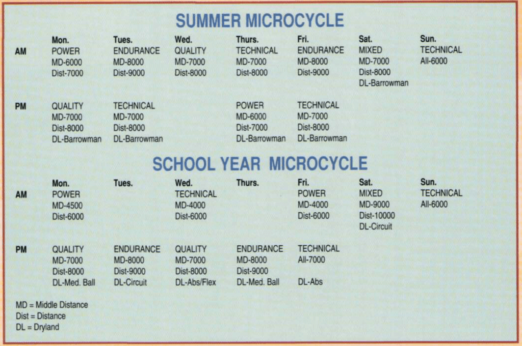 MP - Swimming Tech Macro/Mirco Cycle