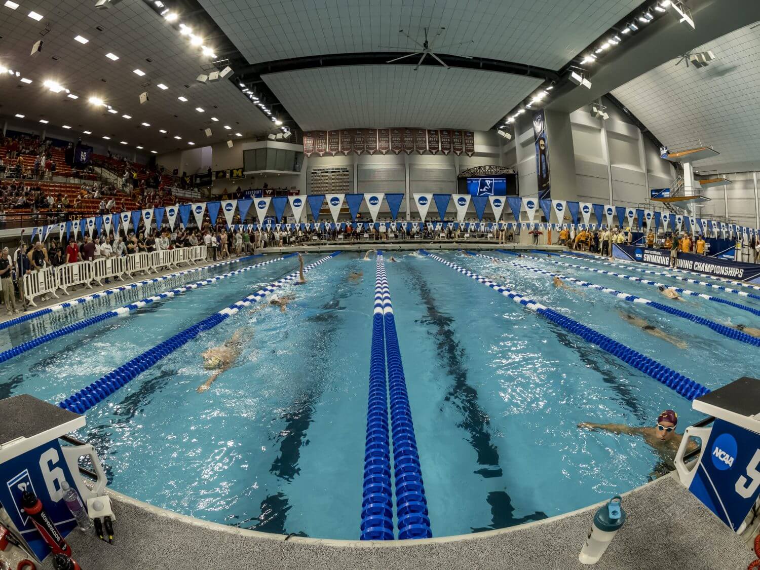 NCAA Championships to Have Timed Final Relays