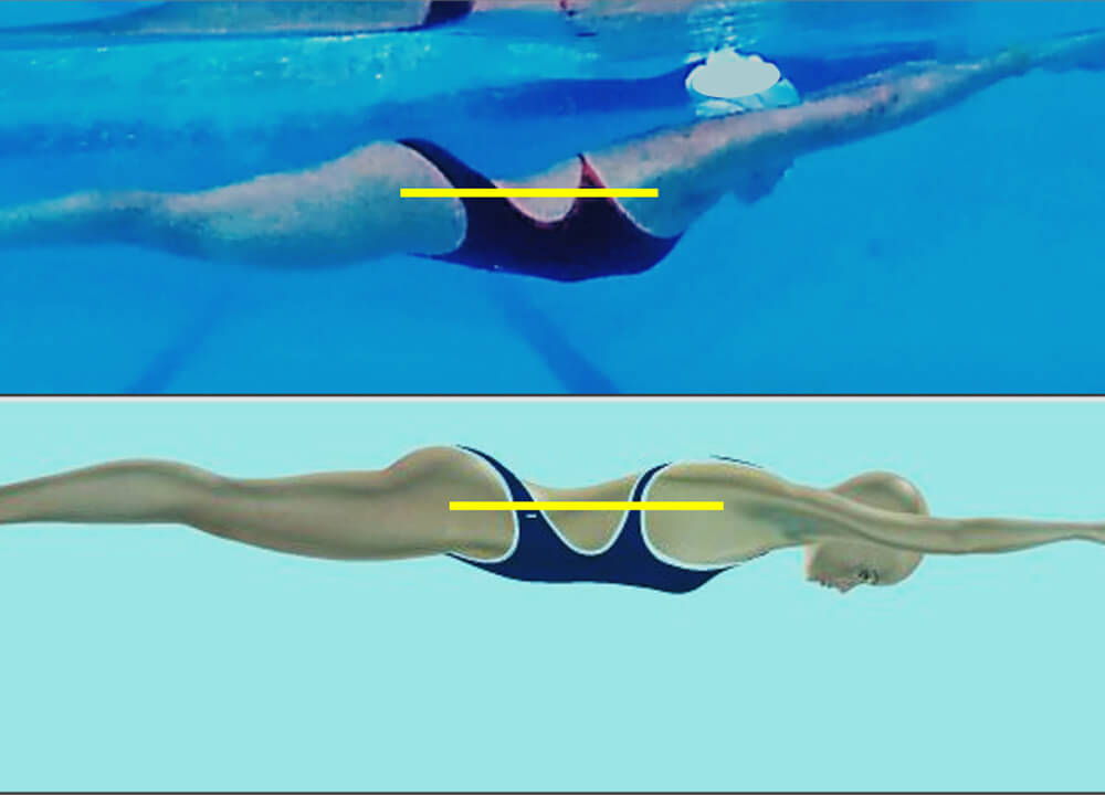 SW August 2020 - Swimming Technique Concepts - Development of an Optimal Model For Technique - Part VIII-- Body Base of Support For Breaststroke By Rod Havriluk