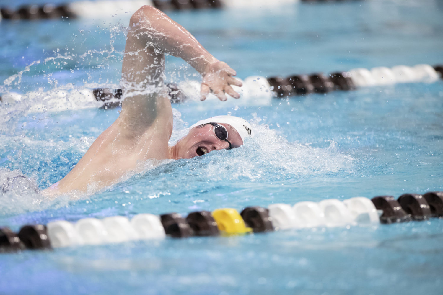 Texas A&M Swims to Sweep of Art Adamson Invitational Swimming World News