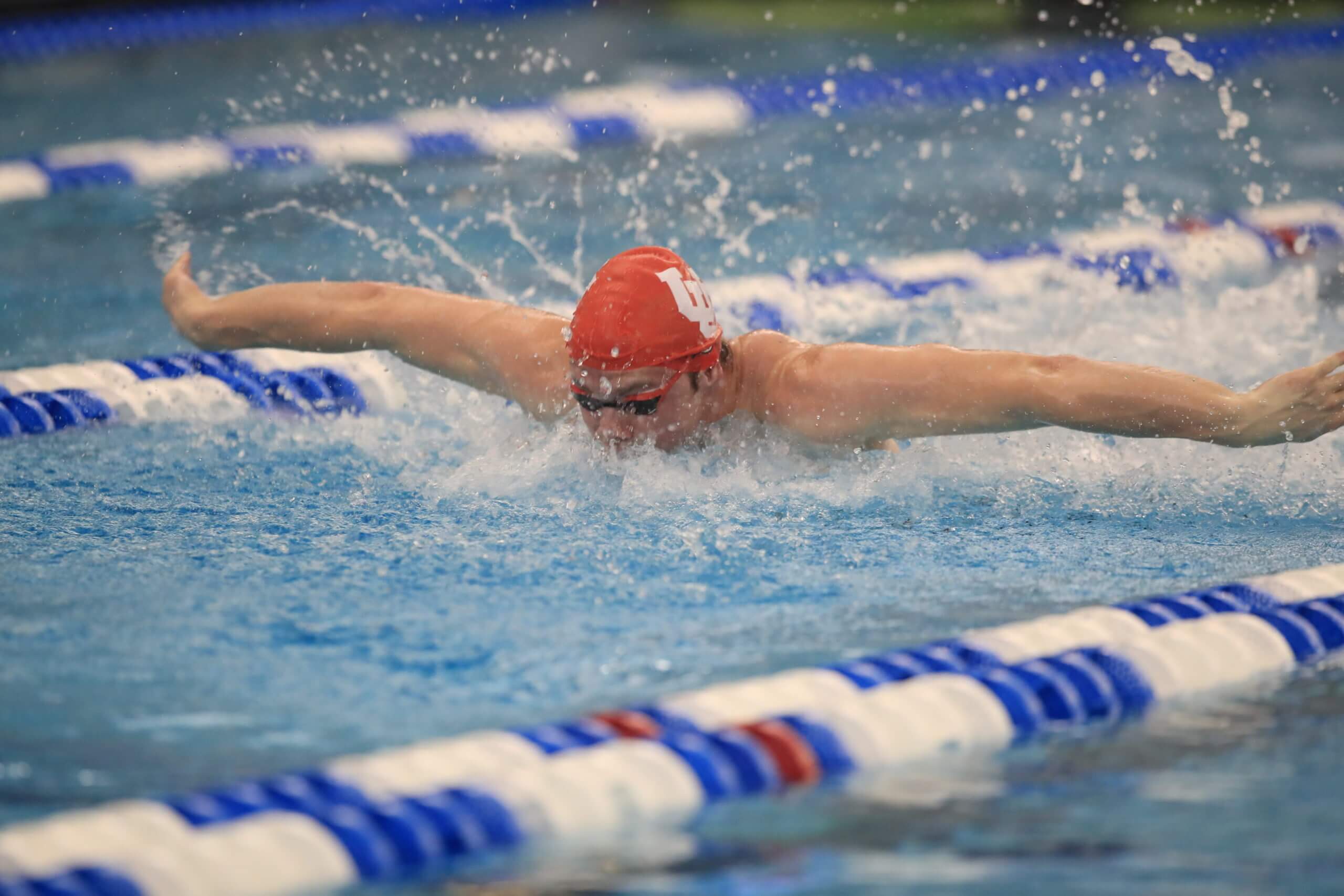 Utah Swimming Sweeps BYU in Home Finale - Swimming World News