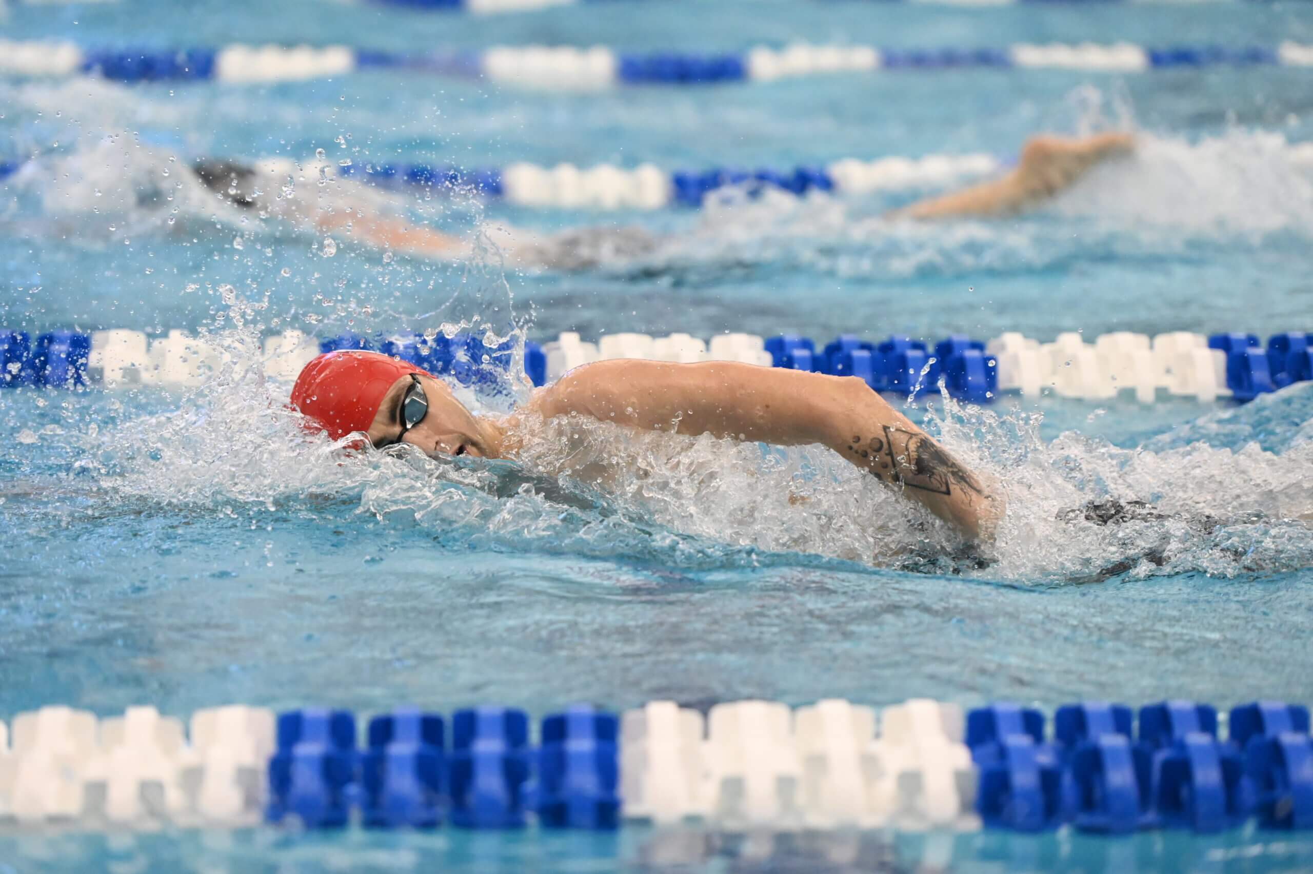 Wisconsin Swimming Sweeps Green Bay on Senior Night