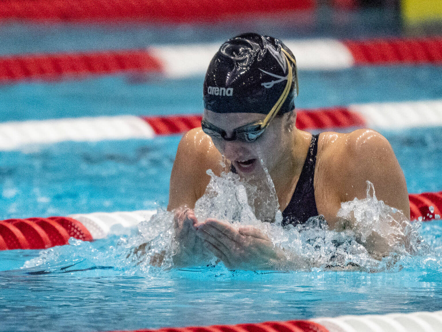 Virginia Cavaliers Dominant In Home Dual Meet Sweep Against Unc