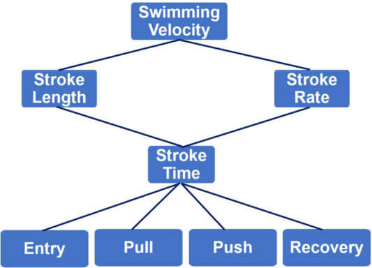 Swimming Technique Concepts Maximizing Swimming Velocity Part 2