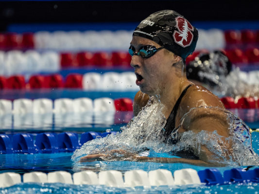 Stanford Swimming Sweeps Arizona on Senior Day