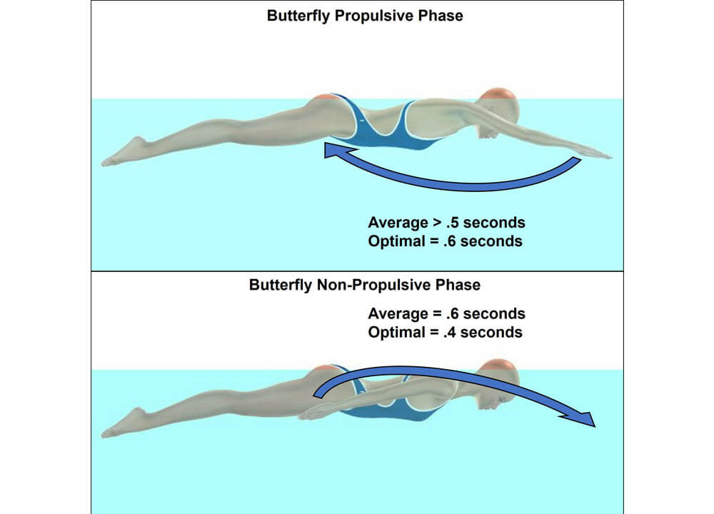 Maximizing Swimming Velocity Part 7 - Optimal Stroke Cycle For Butterfly and Freestyle