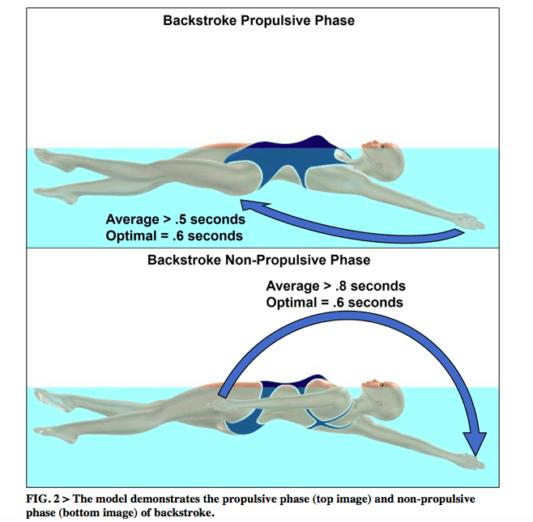 Swimming Technique Concepts: Maximizing Velocity For Back, Breast