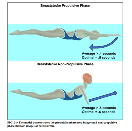 Swimming Technique Concepts: Maximizing Velocity For Back, Breast