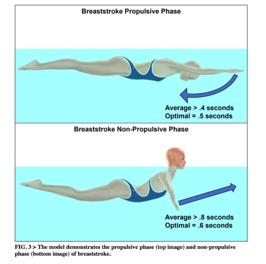 Swimming Technique Concepts Maximizing Velocity For Back, Breast