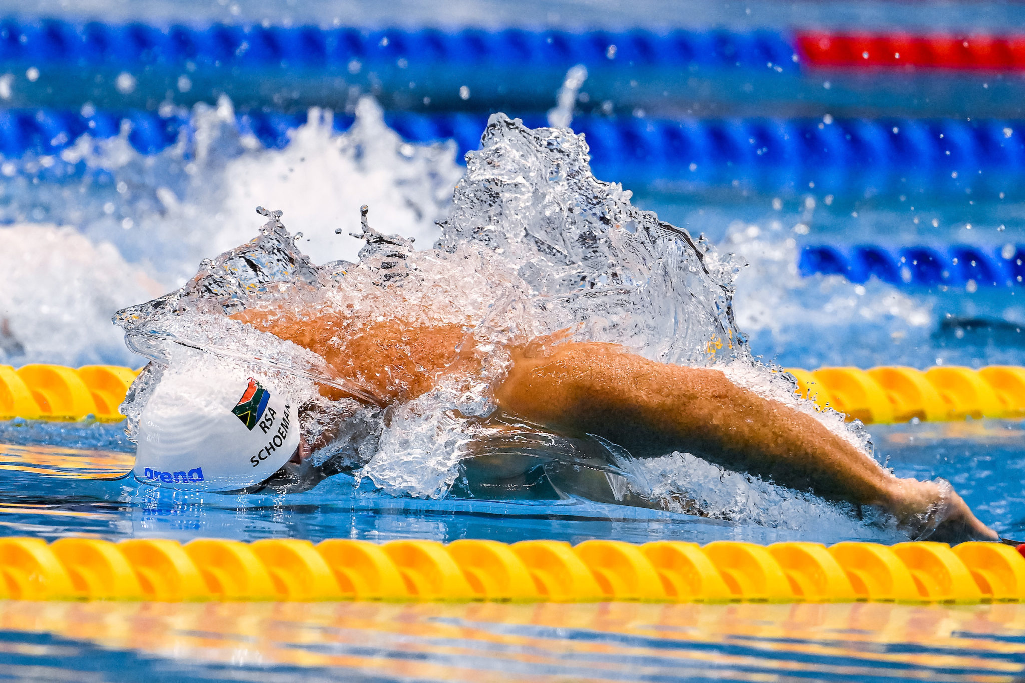 In Fukuoka 22 Years Later, Roland Schoeman ‘Smelling the Roses’