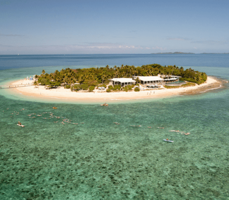 Discover the Ultimate Swimcation: Ocean Swim Fiji - Swimming World News