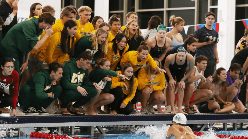 Concordia University Irvine