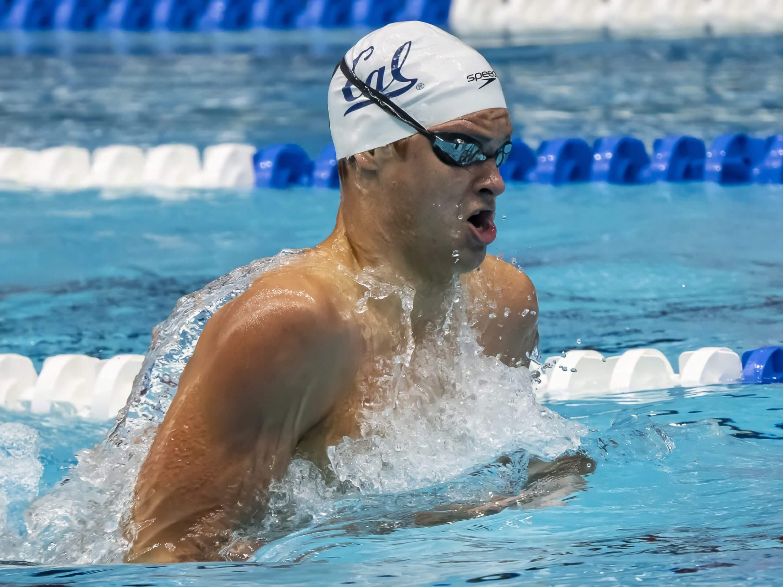 Passages: William 'Bill' Yorzyk, 1956 Olympic Champion in 200