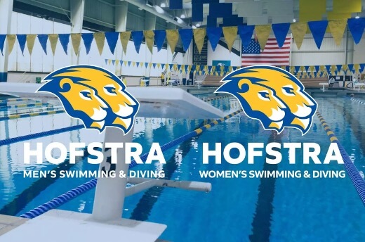 Hofstra